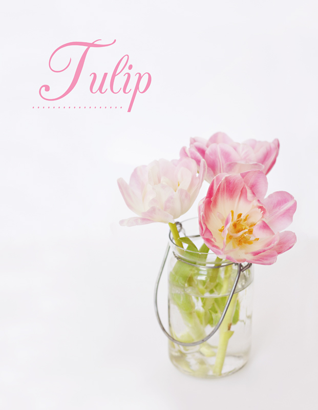 Tulip-boards.jpg