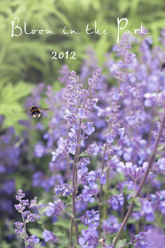 Bee-Bloom-2.jpg